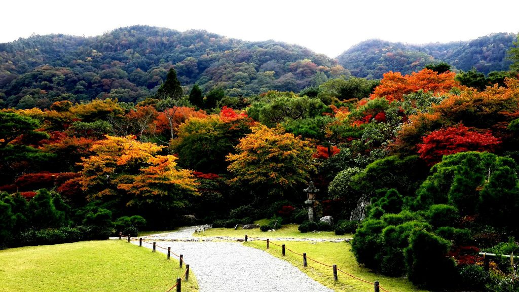 Vườn trên núi ở Kyoto